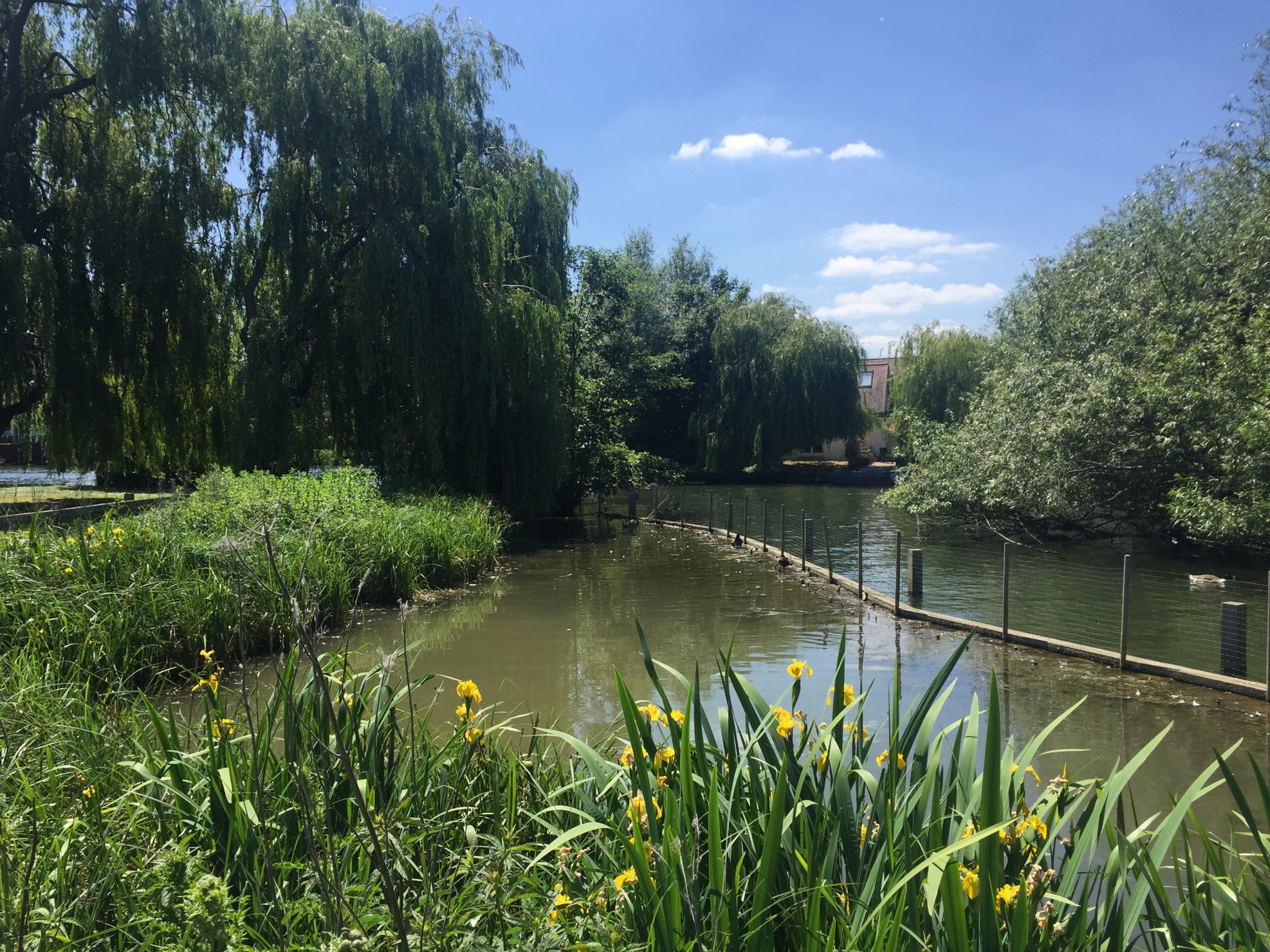 View from the riverbank A glimpse of the future UK Property Forums