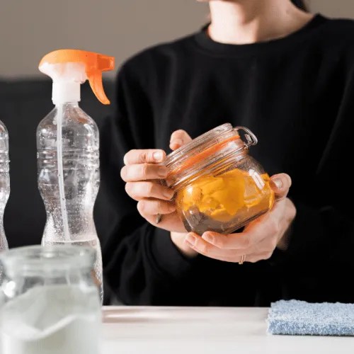 Ultimate Guide to Pet Safe Cleaning Transform Your Floors and Carpets