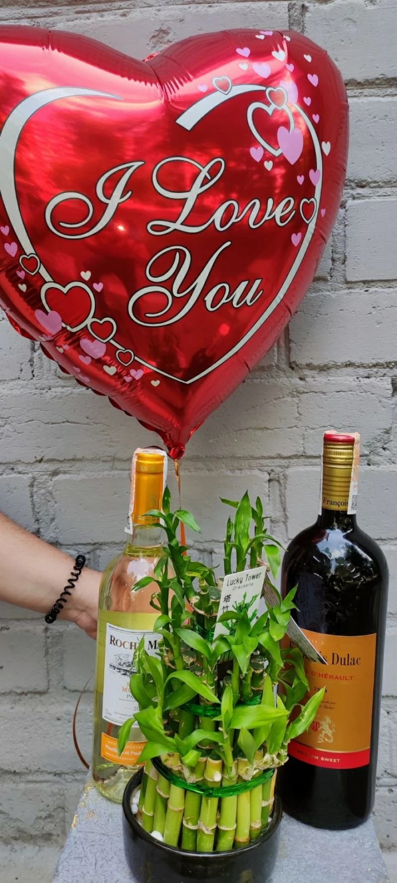 Bamboo Plant Plants Delivery in Ukraine. Prices, Photos, Reviews