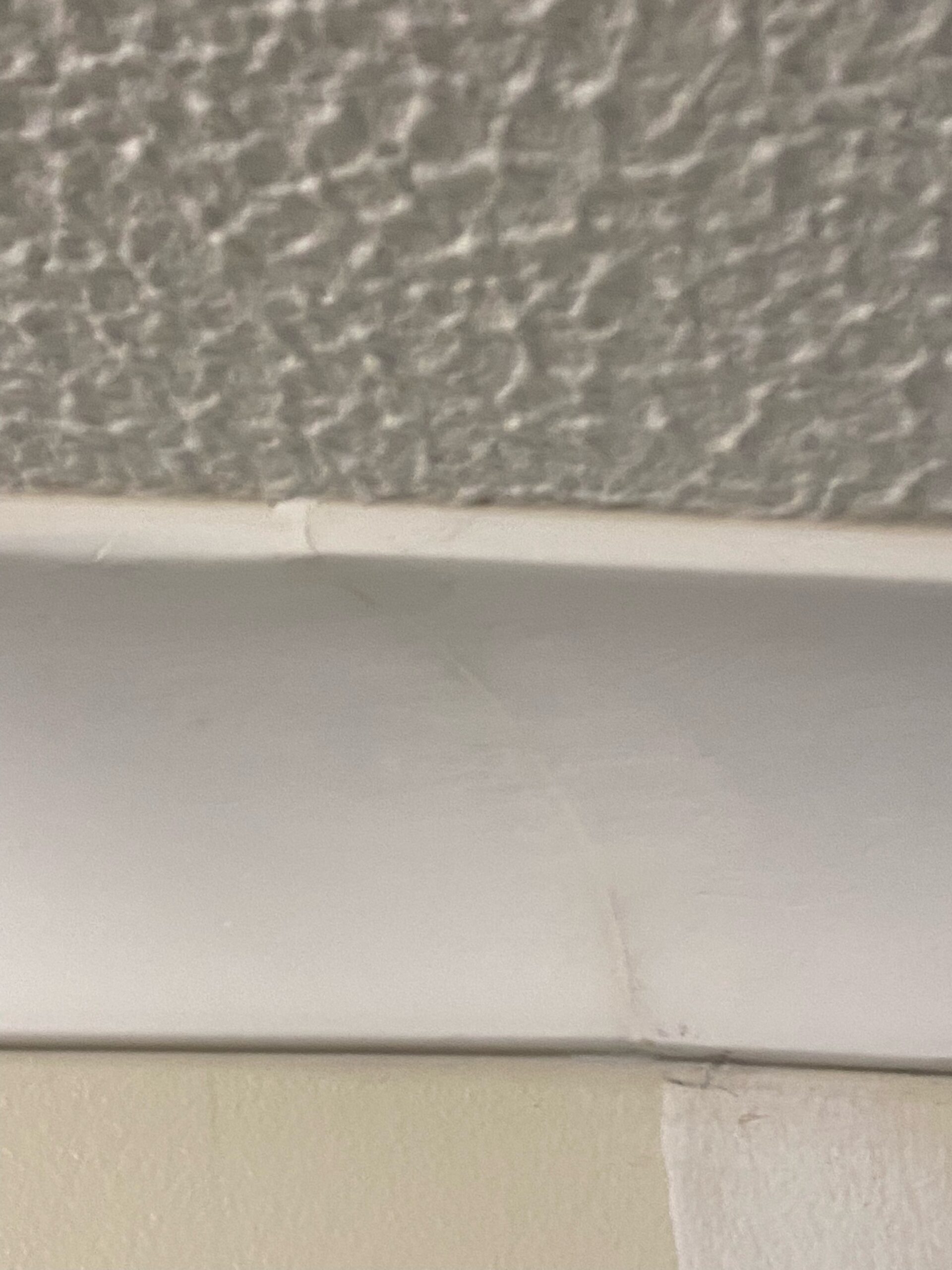 Screwfix SuperCove Lightweight Adhesive and Filler UKTechHub