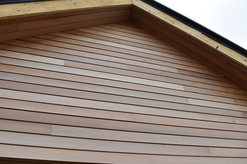 Timber Cladding is Leading the Future of EcoFriendly Construction