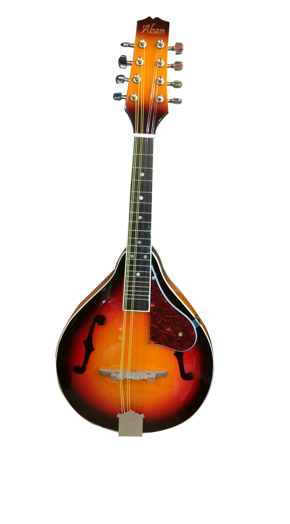 Professional Aban Mandolin Ukulele Center Bangladesh