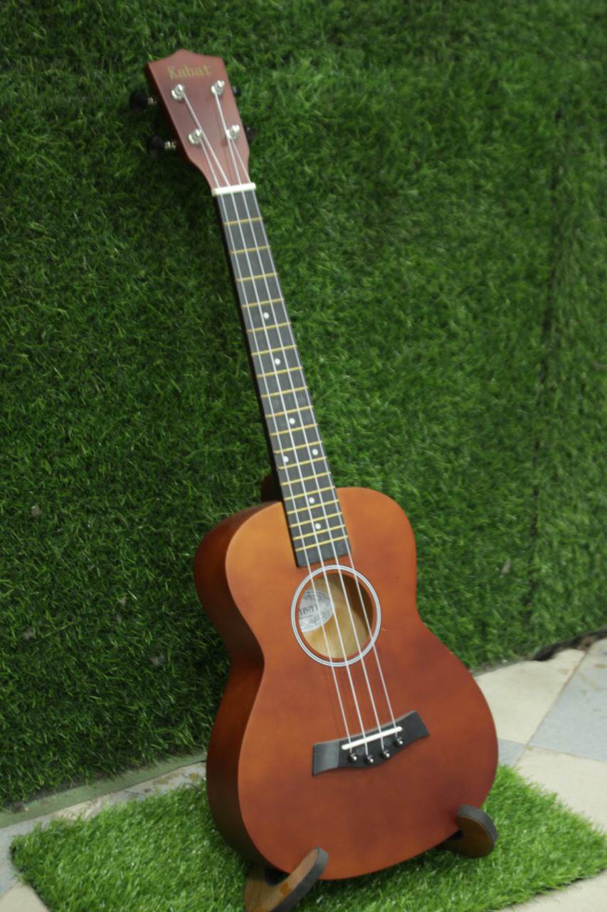 Kabat concert Ukulele Center Bangladesh