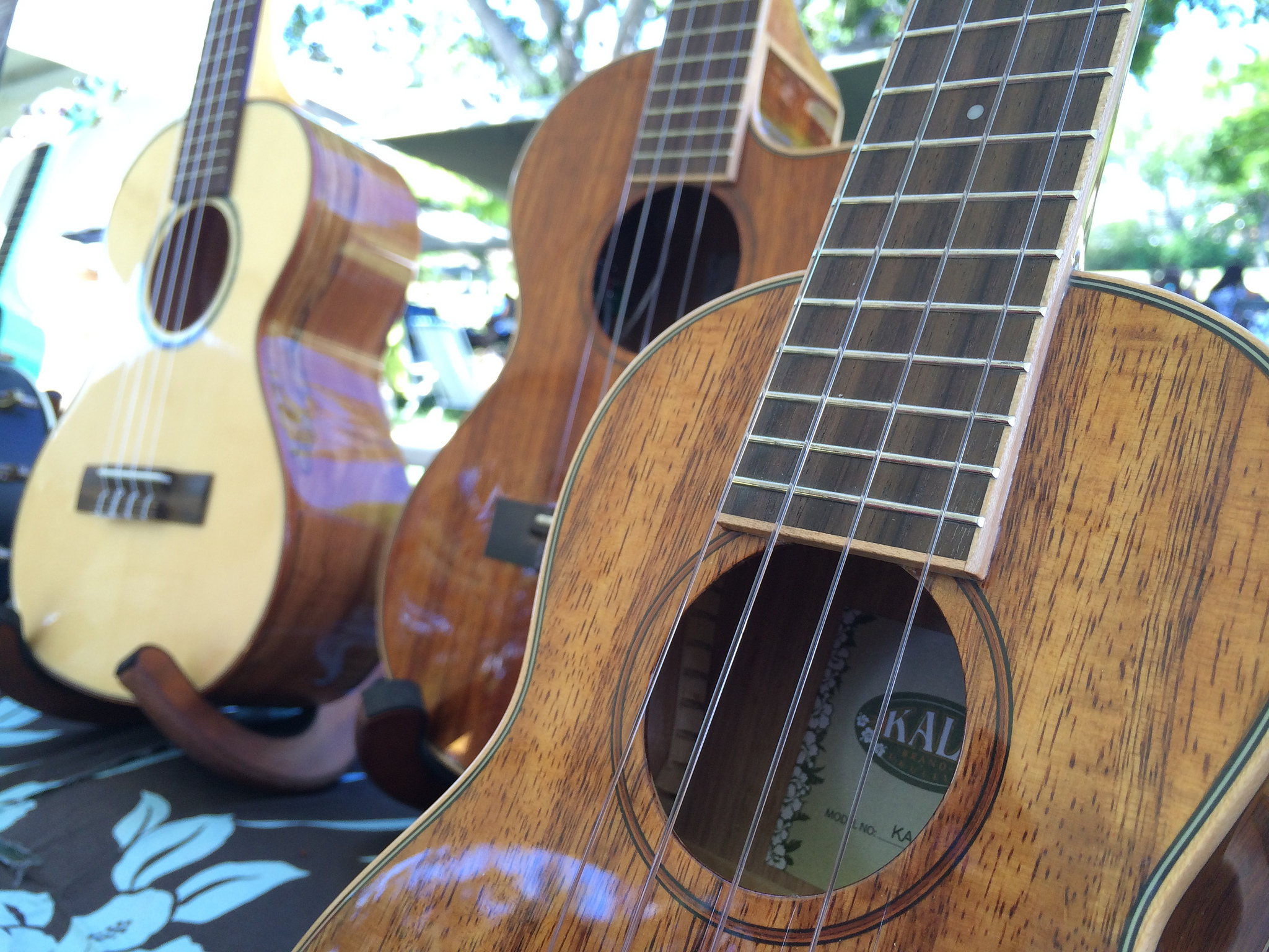 2014 Ukulele Quiz