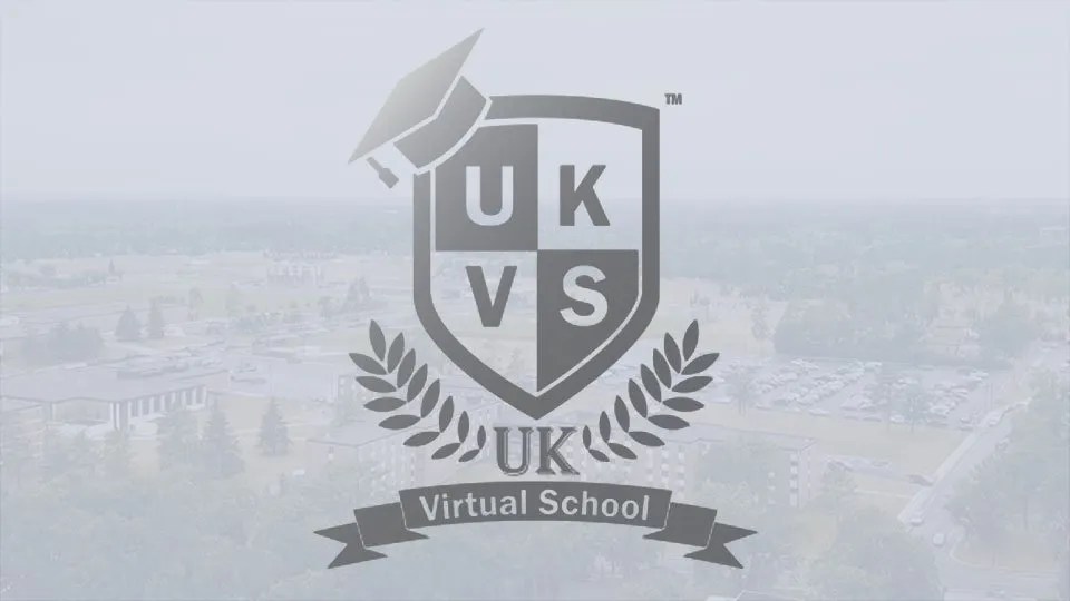 Virtual Camp UK Virtual School