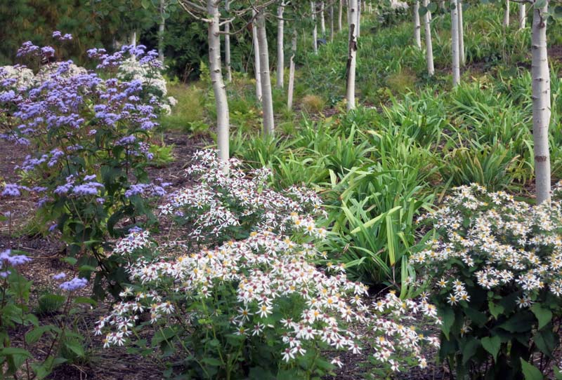 The 606, Bloomingdale Trail Urban Landscape Collaborative, LLC