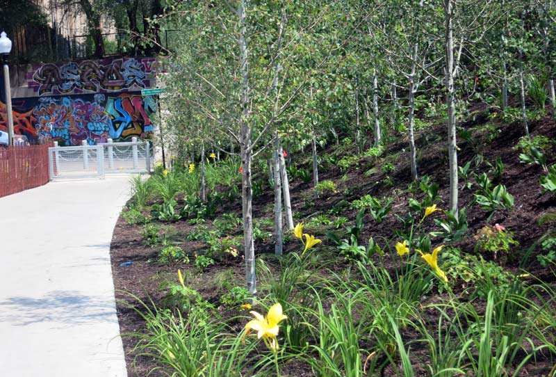 The 606, Bloomingdale Trail Urban Landscape Collaborative, LLC