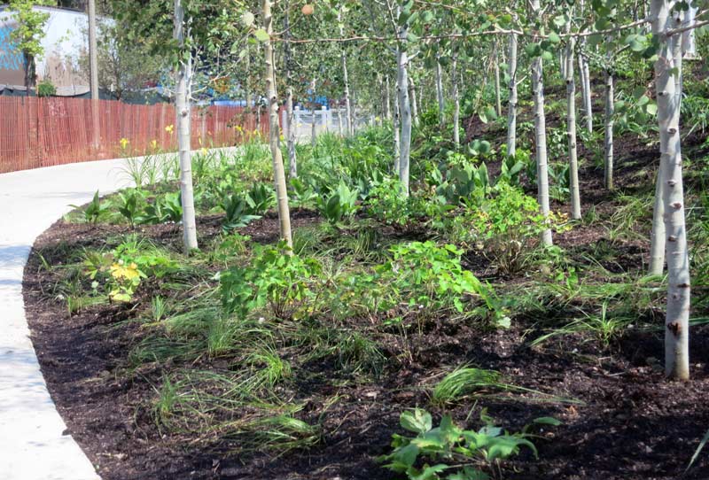 The 606, Bloomingdale Trail Urban Landscape Collaborative, LLC