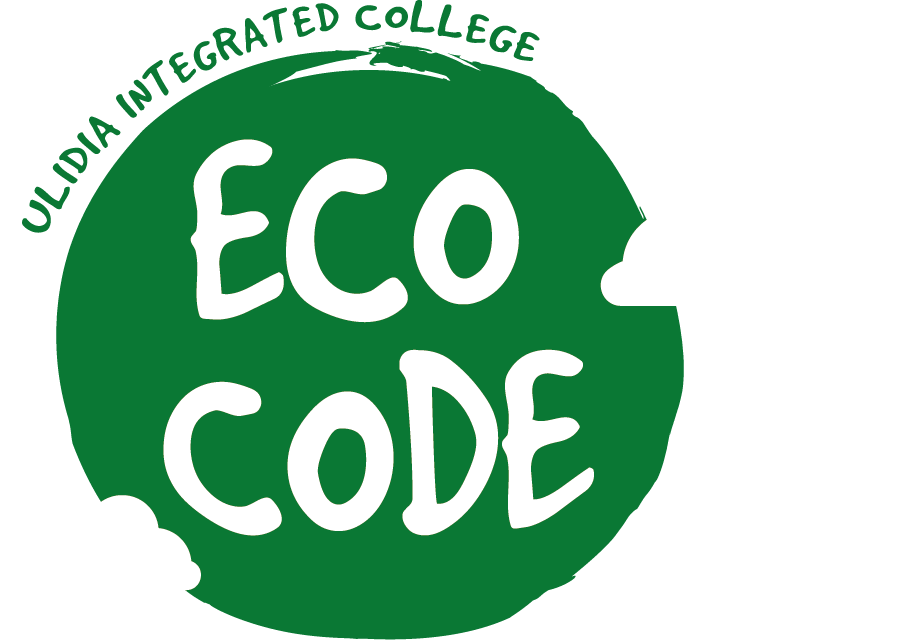 Eco Schools Ulidia Integrated College
