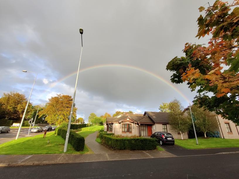 options in UL Study Ireland Stories & Guides from