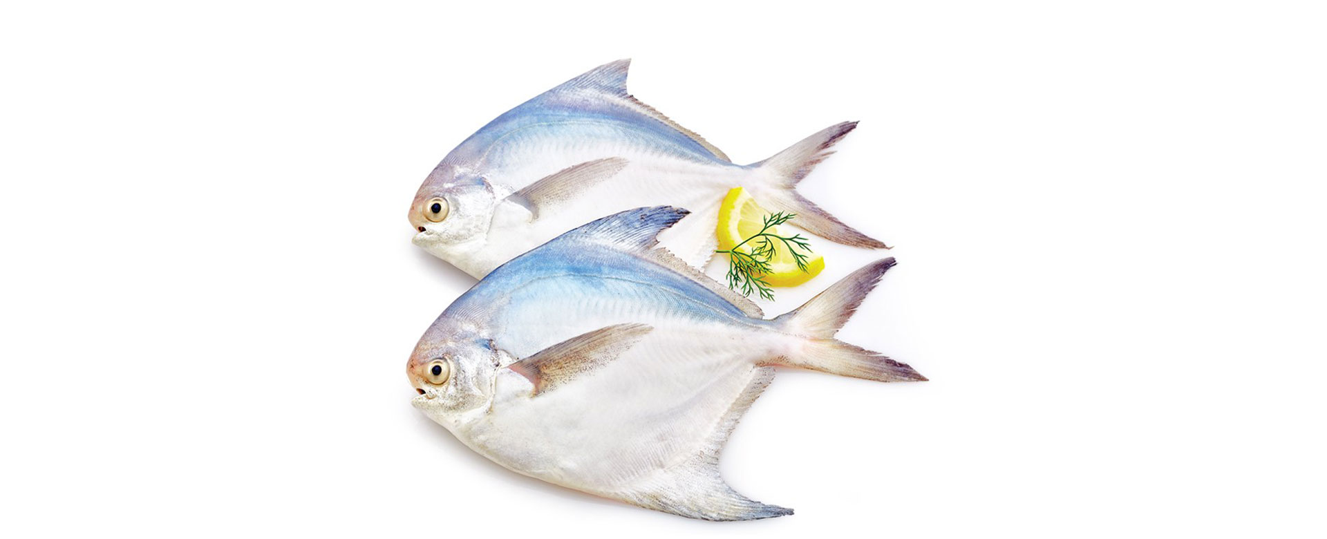 Ulka Seafoods Pvt. Ltd.