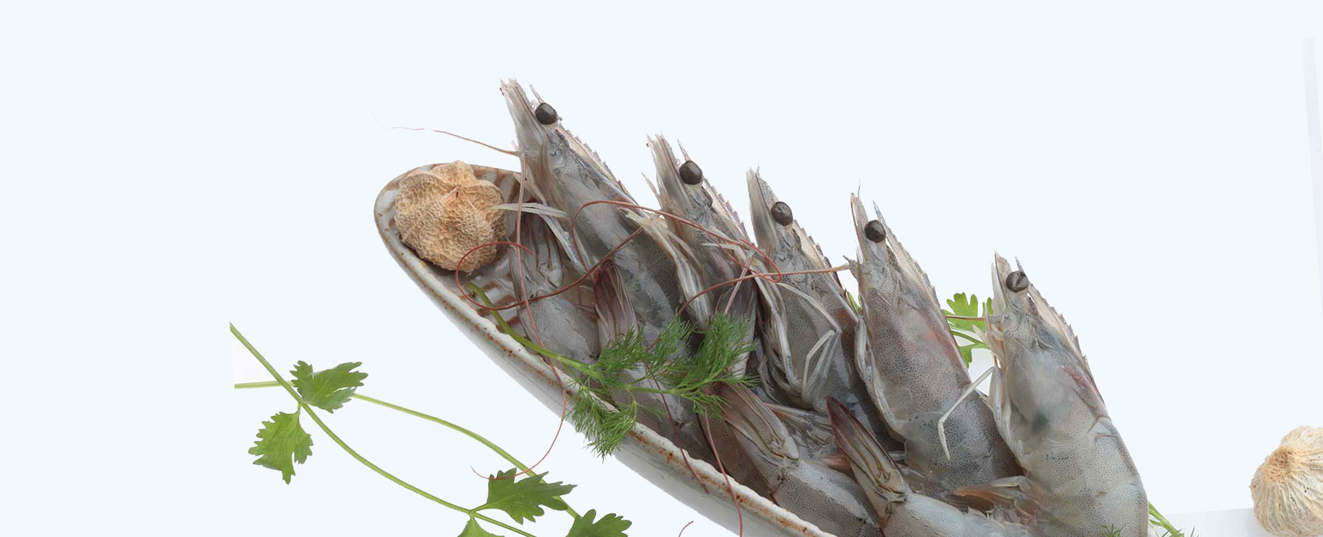 Ulka Seafoods Pvt. Ltd.