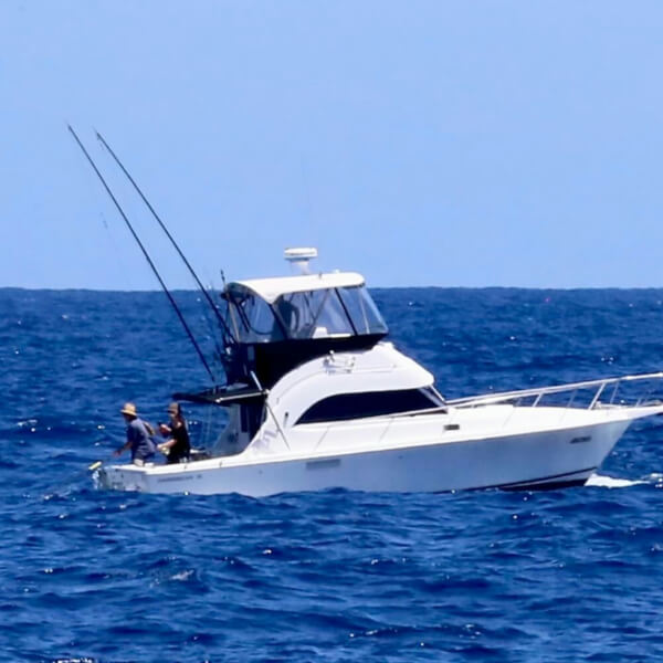 Boats that fish for the Ulladulla Game Fishing Club