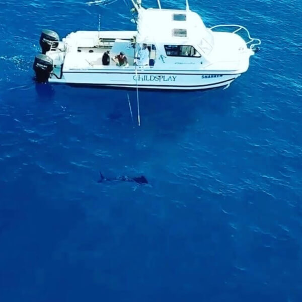 Boats that fish for the Ulladulla Game Fishing Club