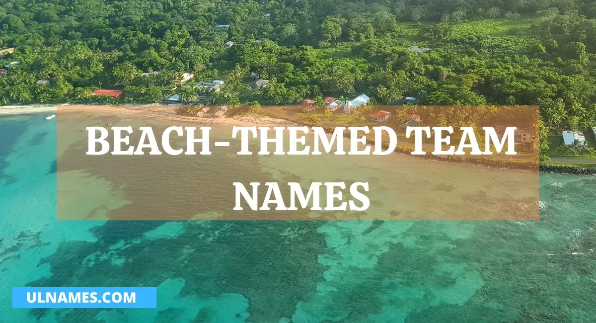 200+ Catchy Beach Themed Team Names (2023)