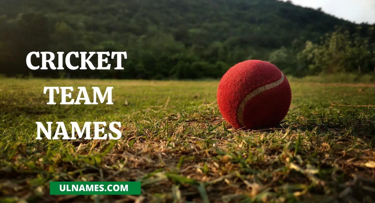 400+ Creative Cricket Team Names 2023 (Choose Before Getting Late)