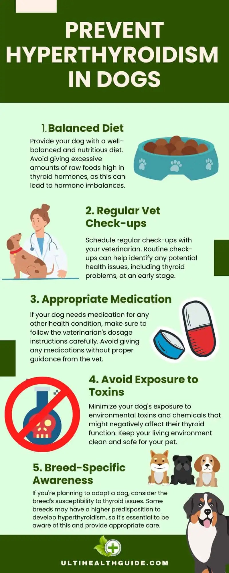 Hyperthyroidism In Dogs Causes, Symptoms, and Treatments for