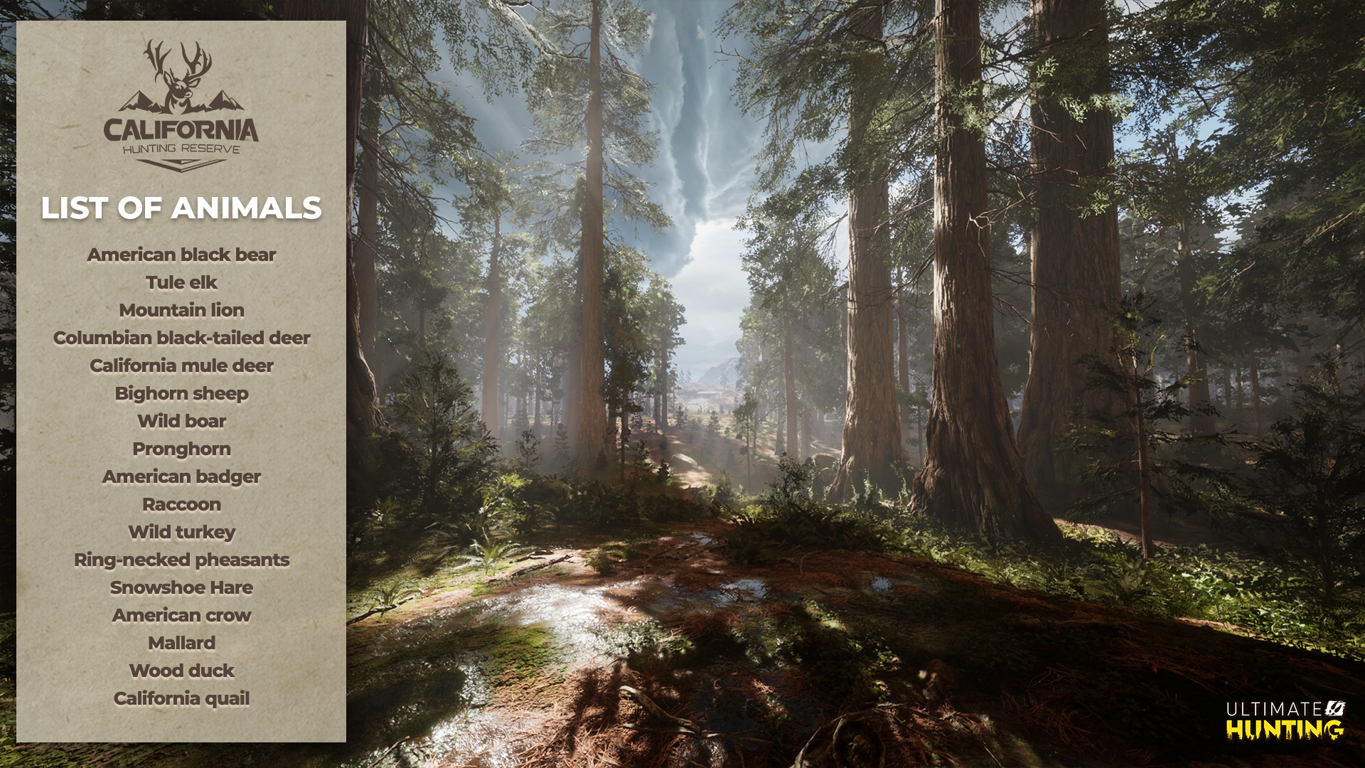 Informacje dotyczące flagowych gier Ultimate Games S.A. ULTIMATE