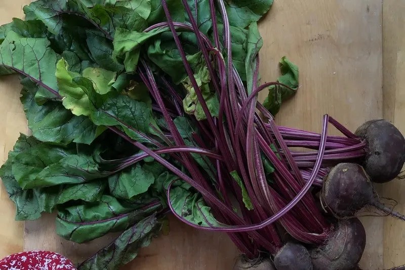 Australian Grow Guide Beetroot Ultimate Backyard