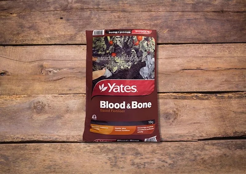 Is Blood And Bone Dangerous To Dogs