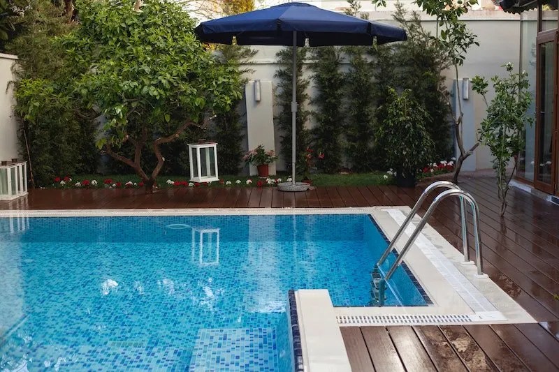 The Best Plants for Around Pools (Australian Guide) Ultimate Backyard