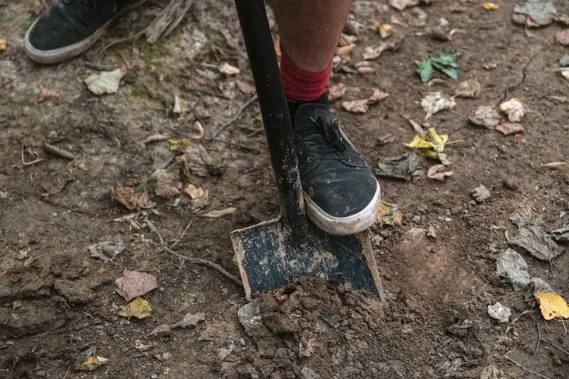 The Best Tools for Digging Holes Ultimate Backyard