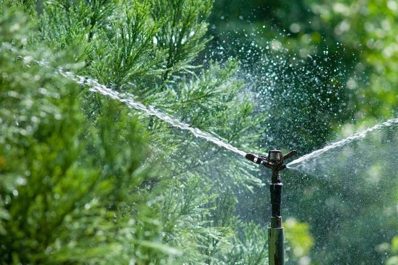Highly Rated Sprinklers in Australia for 2024 Ultimate Backyard
