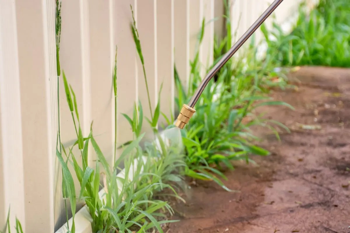 How to Use a Weed Mat (Australian Guide) Ultimate Backyard