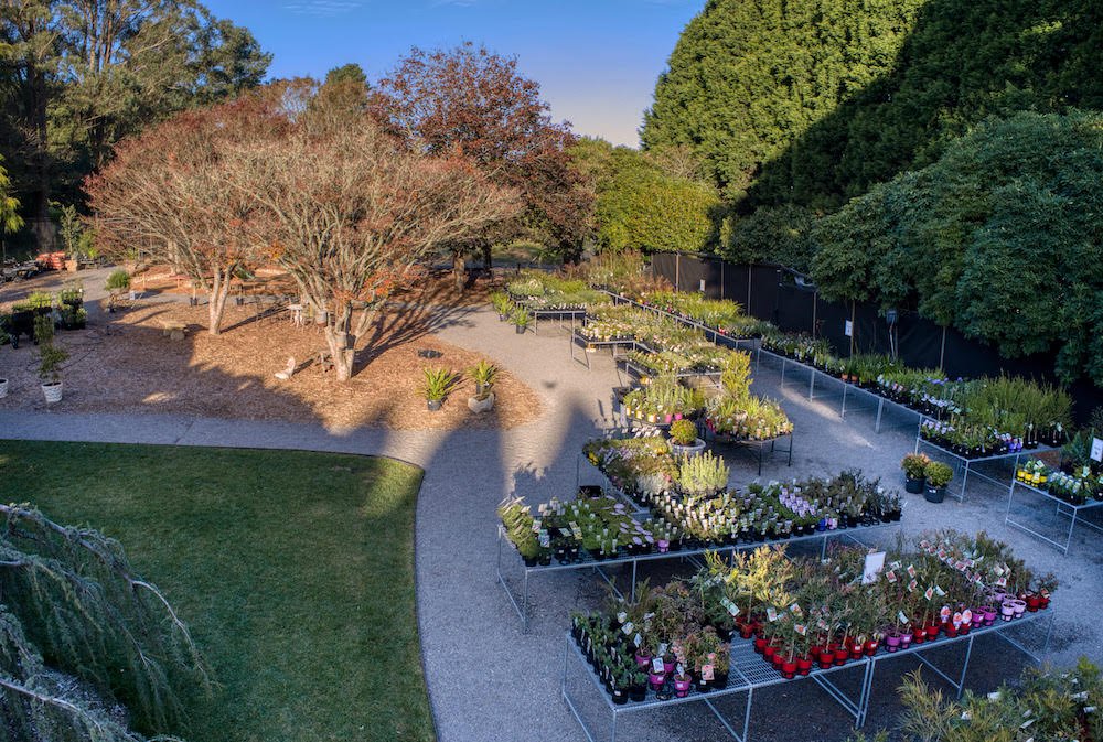 Discover The Best Nurseries in NSW Ultimate Backyard
