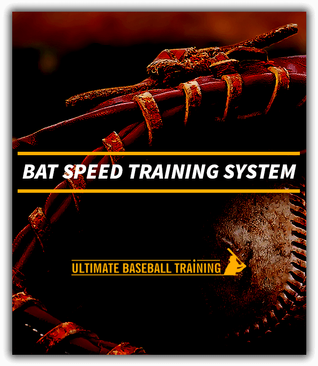 Level Elite Hitting System Ultimate Baseball Training