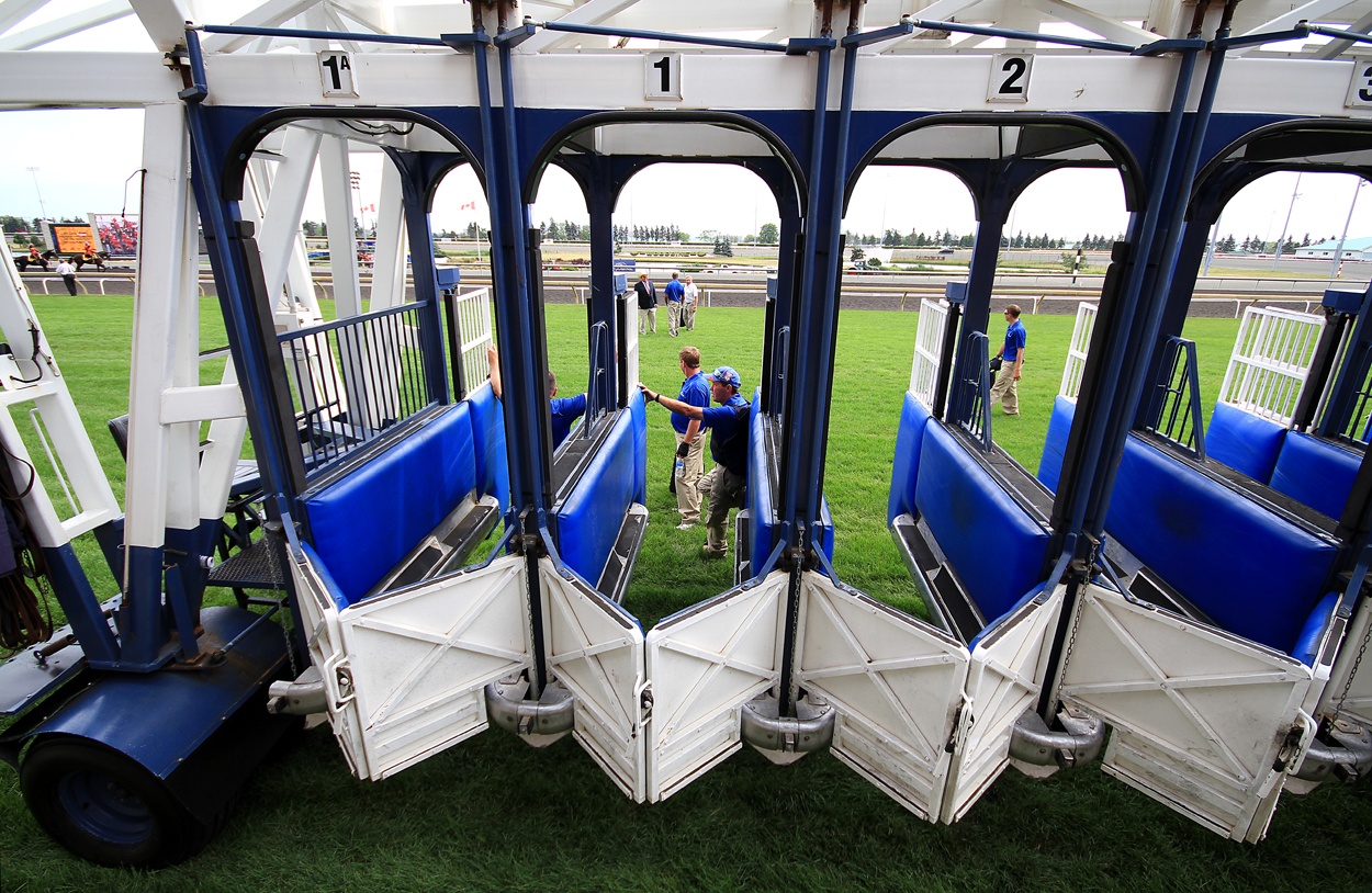 Today’s Free Woodbine Winning Horse Picks [2024]