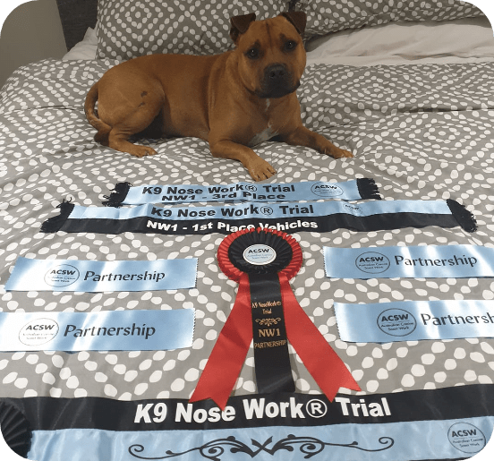 K9 Nose Work Ultimate K9