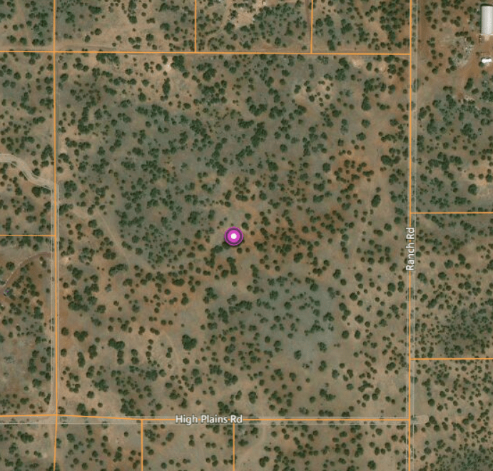 Wholesale 40 acre White Mountain Land Parcel Show Low, AZ Ultimate