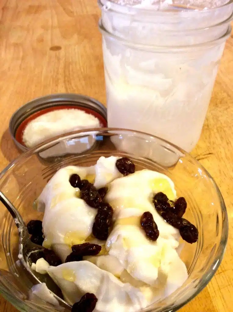 Perfect Paleo Yogurt Ultimate Paleo Guide