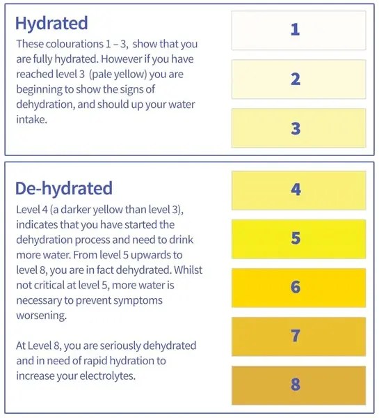 What Does Your Urine Tell You About Your Hydration Status? Ultimate