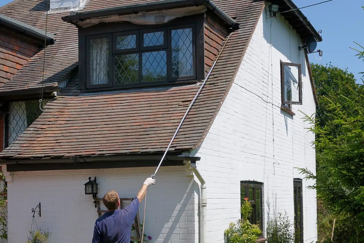 Emergency Pest Control Ultimate Pest Control