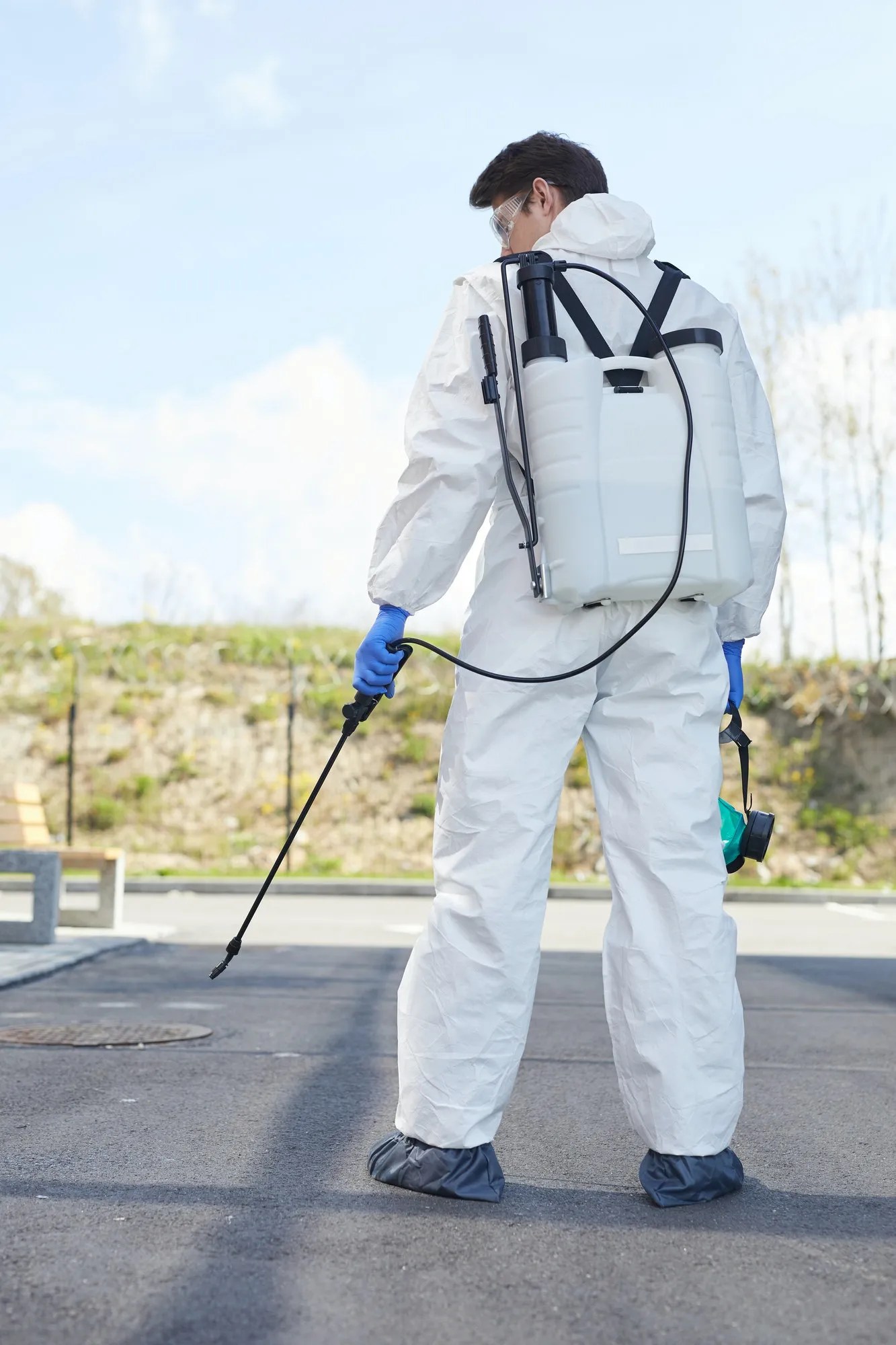 Professional Pest Control Services Toronto Pest Control Experts