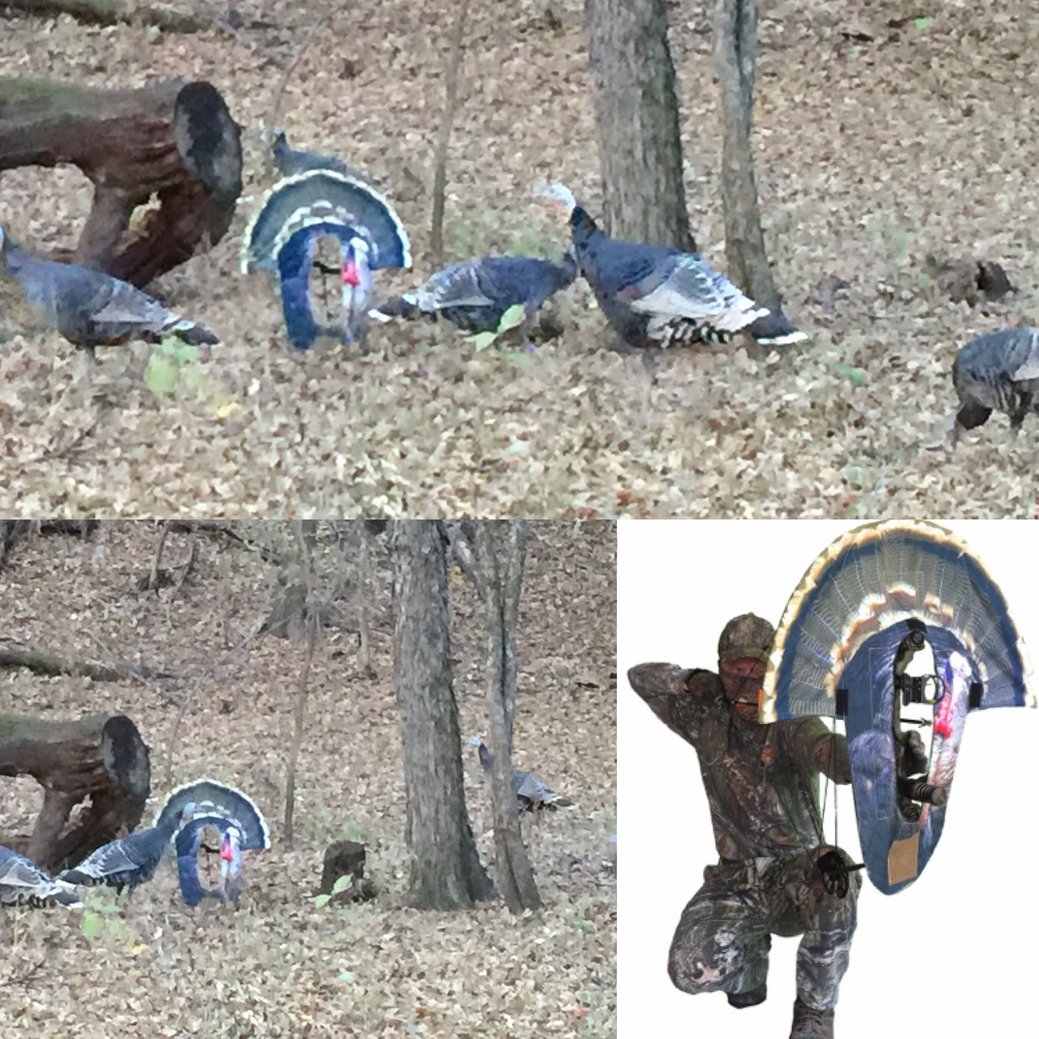 Turkey Decoy Turkey Bow Decoys
