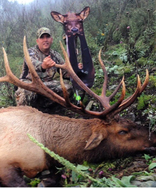 elk Ultimate Predator