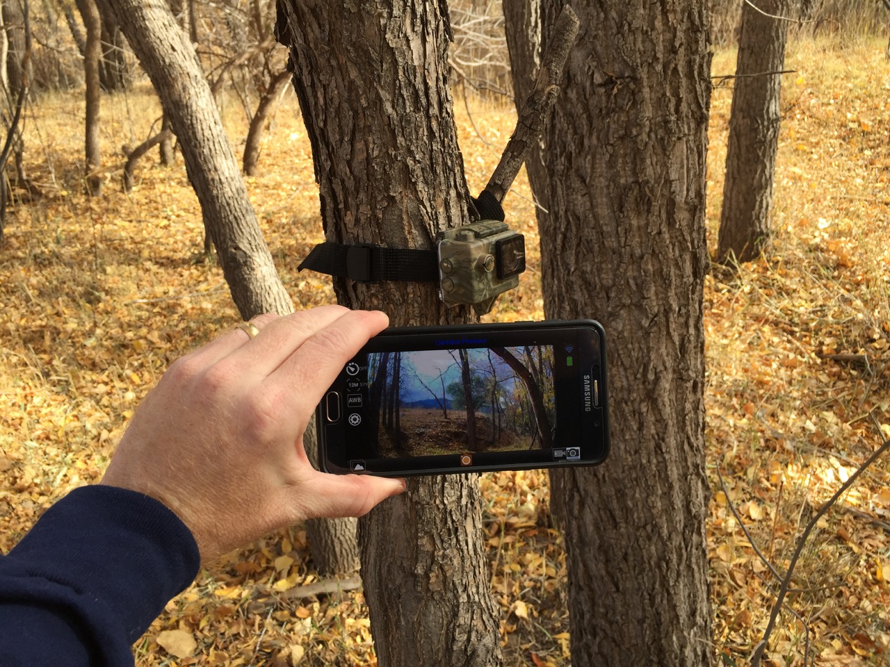 Adventure Cam Ultimate Predator