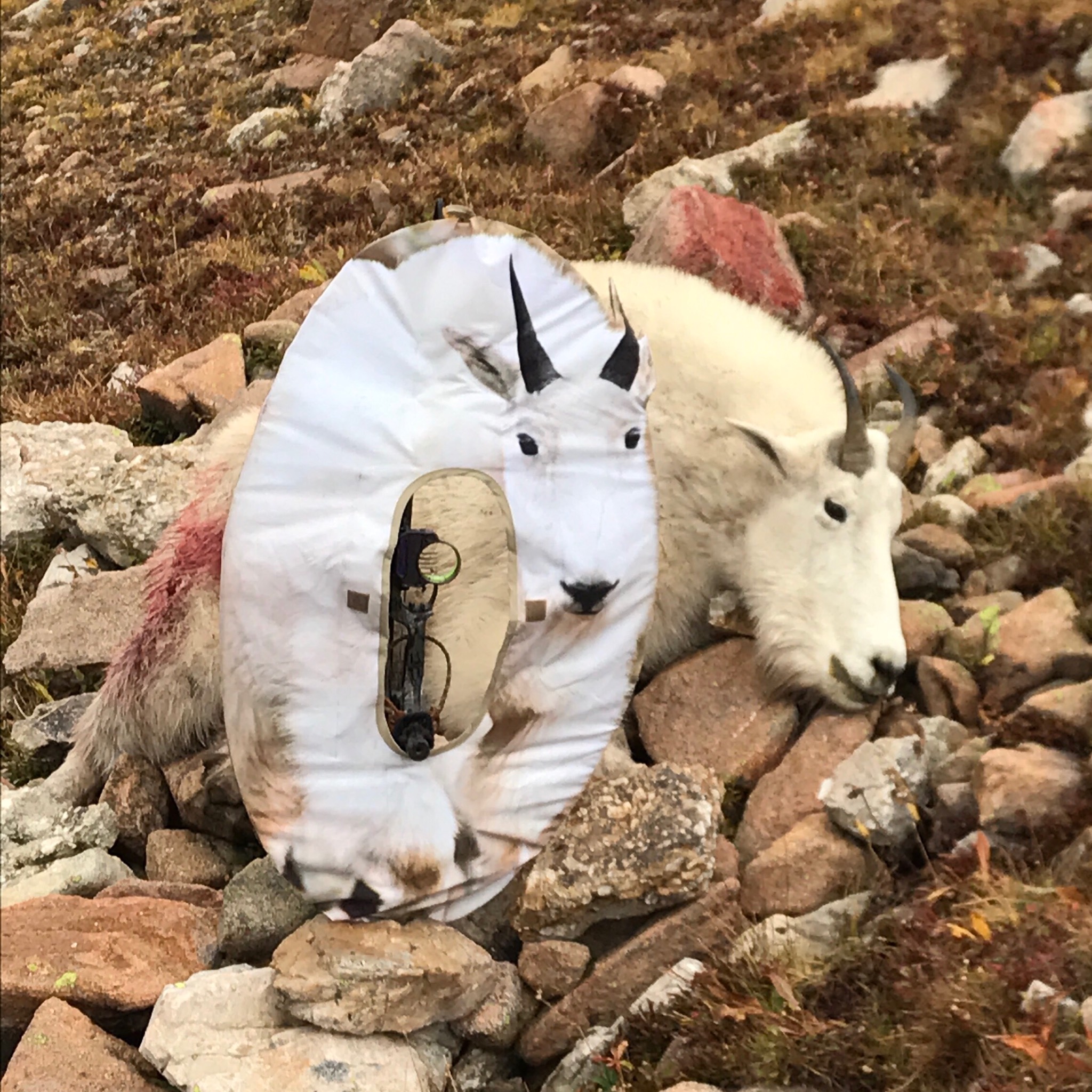 Mountain Goat Decoy Ultimate Predator