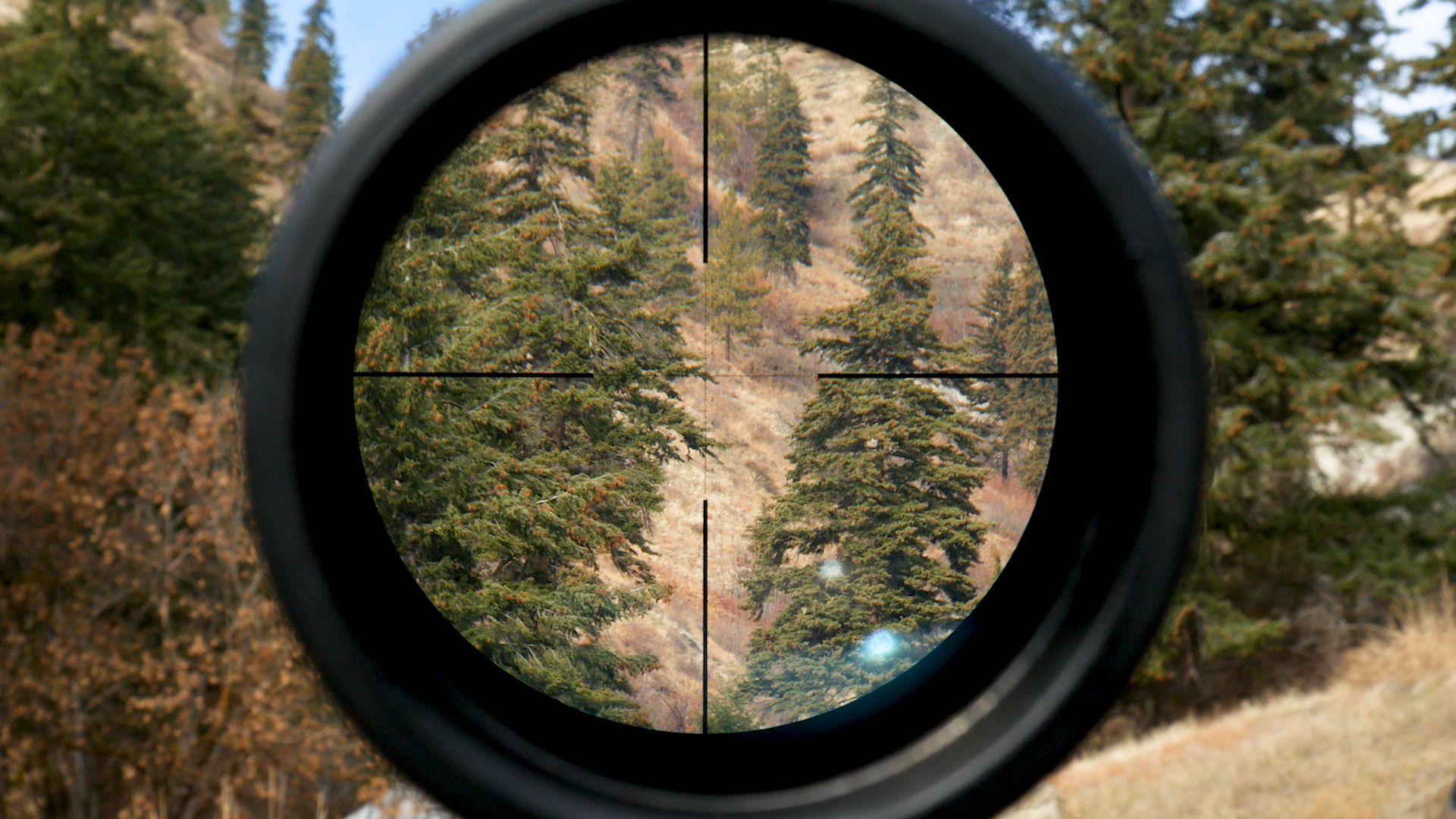 Athlon Midas TAC 624x50mm HD Riflescope InDepth Overview Ultimate