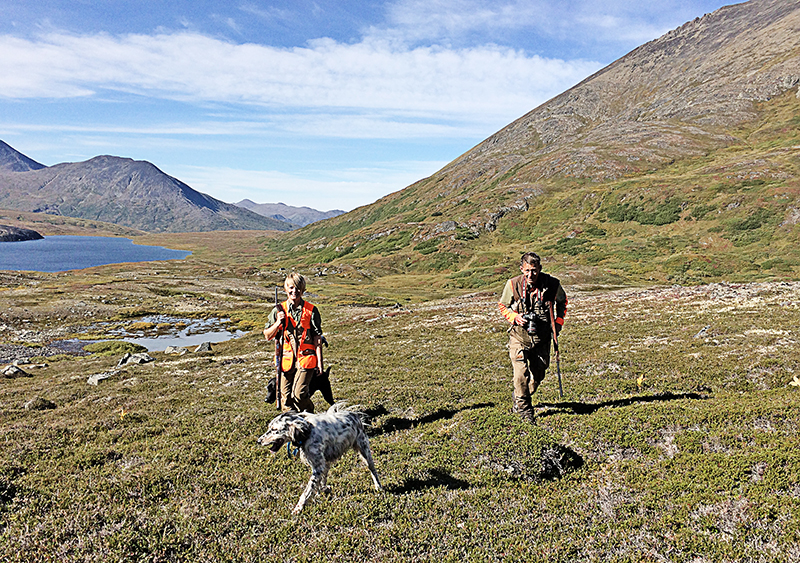 The Alaska Standoff Ultimate Upland