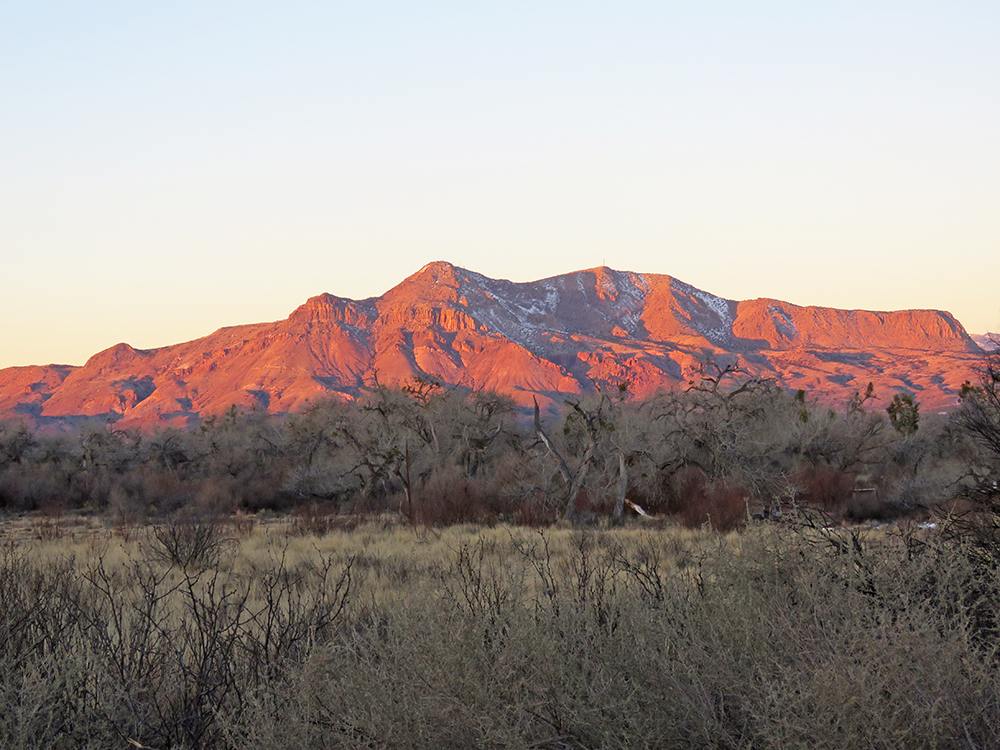 New Mexico Sunrise Ultimate Upland