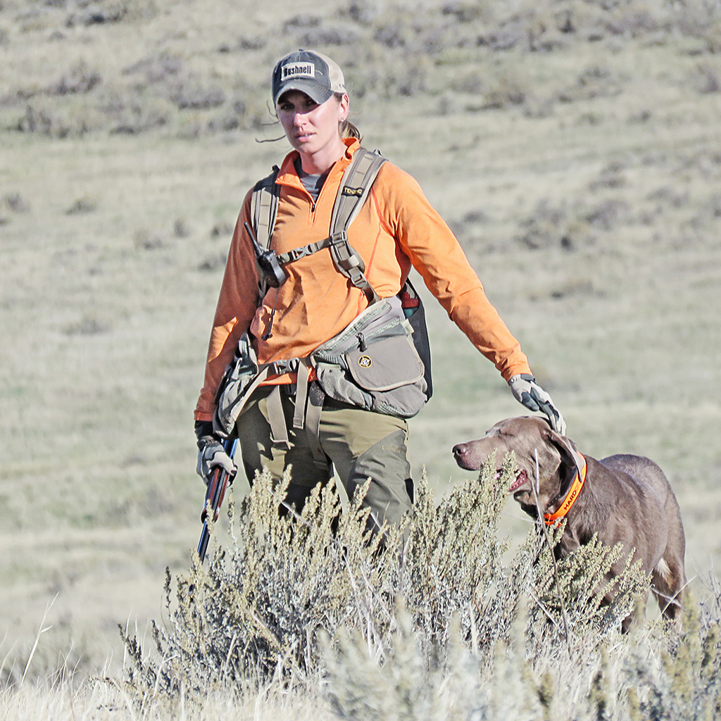 Tired Lab Ultimate Upland