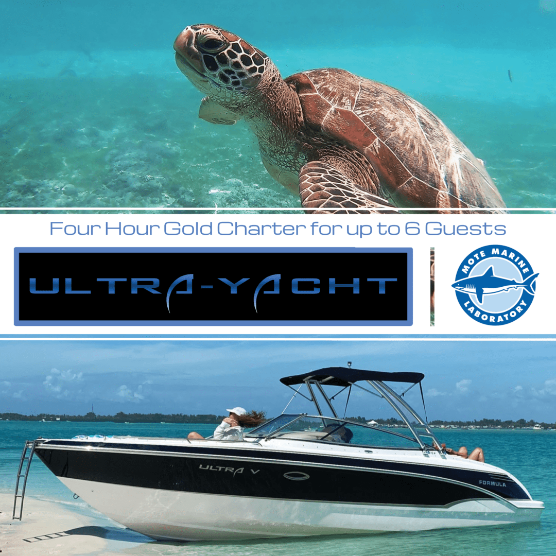 ULTRAYACHT Buy a Gift Card Support Mote Marine
