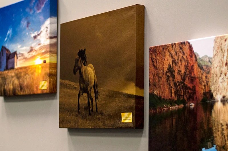 Canvas Prints Ultra Graphics