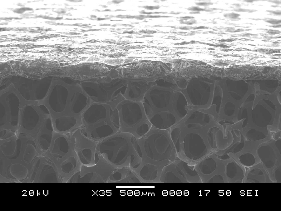 Reticulated Vitreous Carbon Foam Ultramet