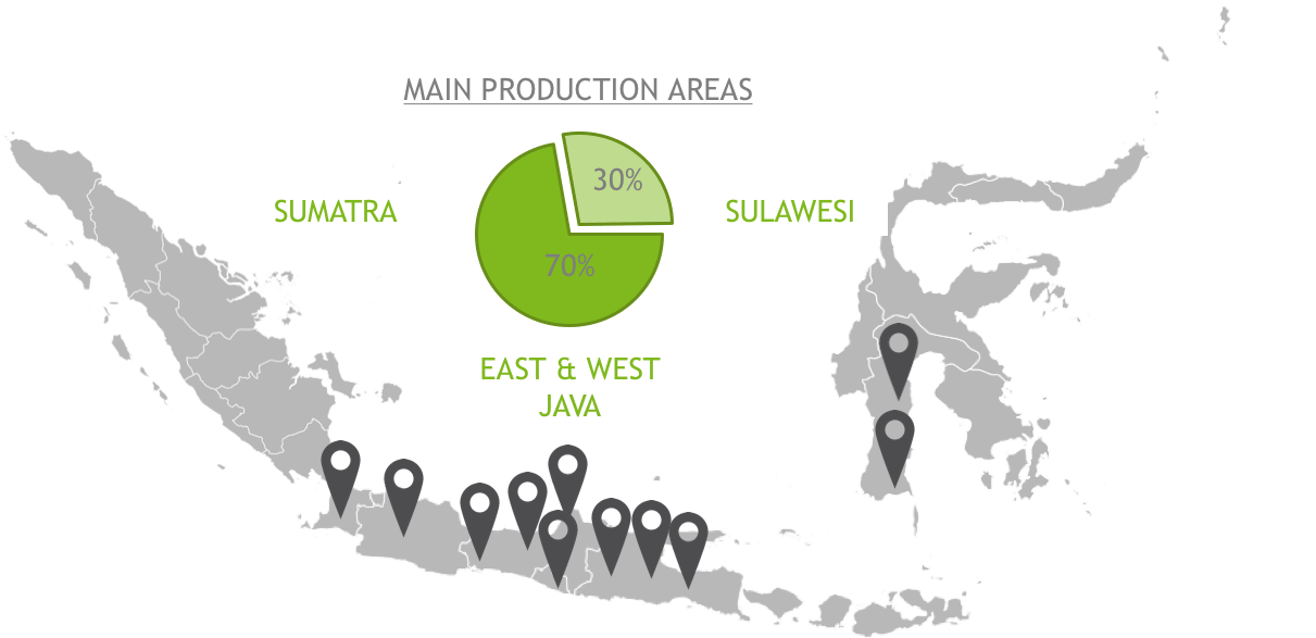 Clove Oil (Indonesia) Ultra International B.V.Ultra International B.V.