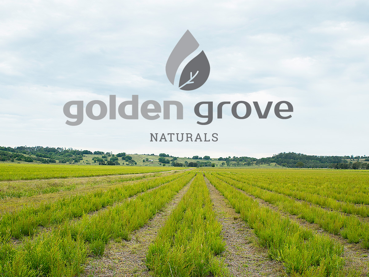 Introducing Golden Grove Naturals Ultra International B.V.Ultra